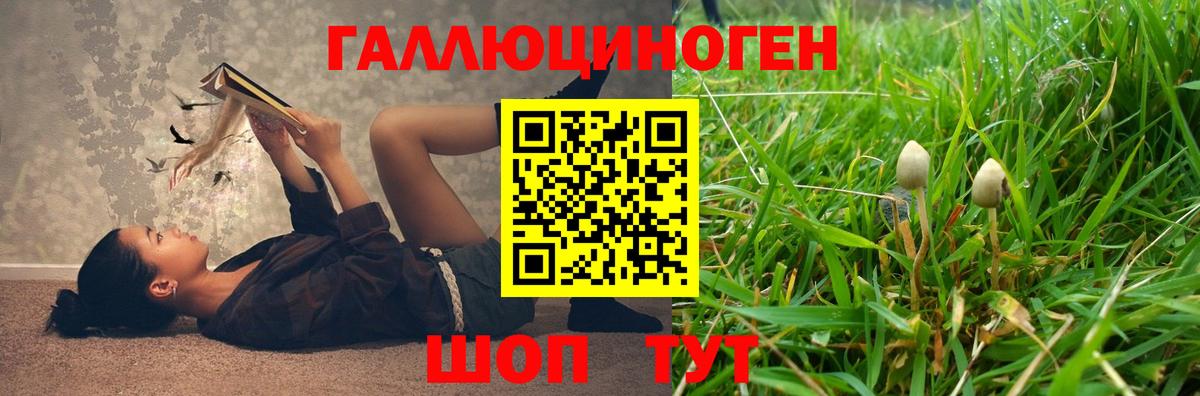 Галлюциногенные грибы Magic Shrooms  Вход с VPN  Саров 
